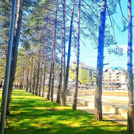 Lägenhet Lux Boris Zlatibor