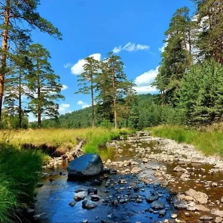 Lux Boris * Zlatibor