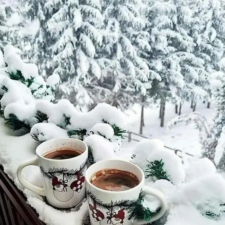 Lux Boris Lägenhet Zlatibor