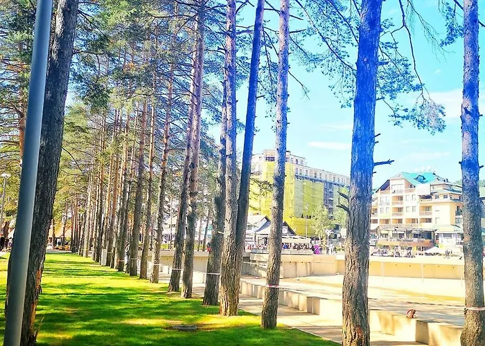 Appartement Lux Boris Zlatibor