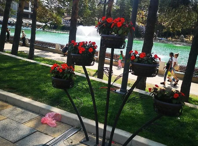 Lux Boris * Zlatibor